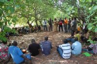 La question des OGM dans la cotonculture ivoirienne en étude à Grand-Bassam