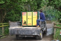 Ecologie - DHL « remet » neuf gorilles en liberté