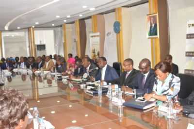 Révolution verte en Afrique : les Etats espèrent passer de la fiction à la réalité