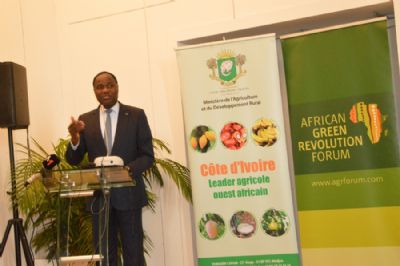 7è Forum sur la révolution verte en Afrique / Coulibaly Sangafowa (ministre ivoirien de l’Agriculture et du développement rural) : «La Côte d’Ivoire consacre 4 % de son budget à l’Agriculture »