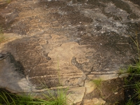 « La vie sur terre a commencé à Kiriao (Facobly) », affirment des rastas
