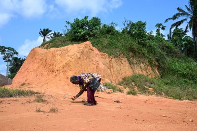 Il y a 150.000 ans à Abidjan, une immense forêt tropicale et déjà l'Homo sapiens