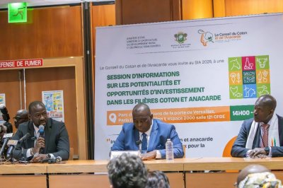 Investissement dans les filières coton et anacarde : la Diaspora ivoirienne mobilisée