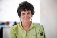 Patrimoine mondial: plus de 114 sites menacés