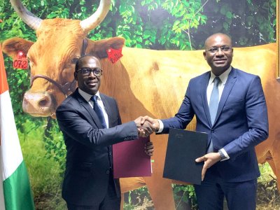 Journée mondiale du lait : FrieslandCampina et le Ministère des Ressources Animales et Halieutiques mutualisent leurs efforts pour l’accroissement de la production laitière en Côte d’Ivoire