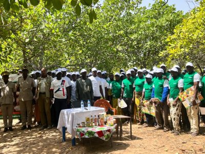 Kouto / Campagne anacarde 2026: Les producteurs sensibilisés et outillés