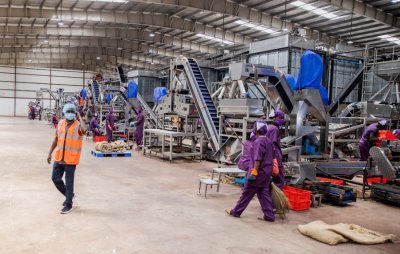 L'usine d’anacarde de Toumodi : symbole de l’accélération de la transformation du tissu agro-industriel de la région du Bélier