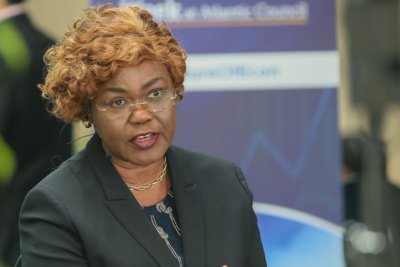 Réunion de printemps du Fmi et de la Banque Mondiale: Nialé Kaba exhorte les investisseurs américains à investir en Côte d’Ivoire