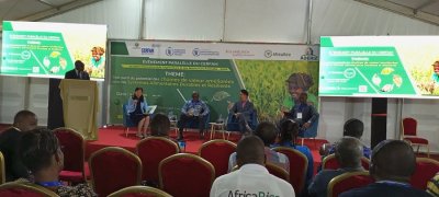 Une experte appelle à repenser les systèmes alimentaires de l’Afrique encore fragiles