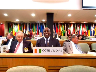 La Côte d’Ivoire participe à la 79e session plénière du comité consultatif international du Coton