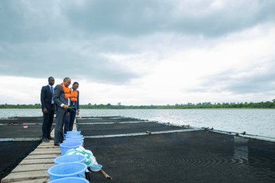 Ressources halieutiques : un ambitieux programme visant à produire 500 000 tonnes de poissons par an démarre en Côte d'Ivoire