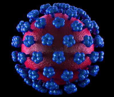 Le gouvernement alerte sur la présence de la fièvre de Lassa dans des états de la sous-région