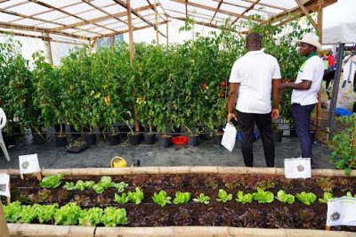 Agriculture et Ressources halieutiques : le gouvernement mobilise 78 milliards FCFA pour la prise en charge de 36 000 jeunes en 2023