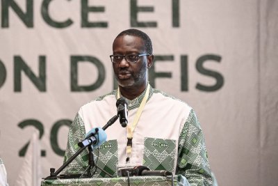 PDCI-RDA : Tidjane Thiam nomme les membres du comité de coordination des obsèques du Président Henri Konan Bédié  (Décision )