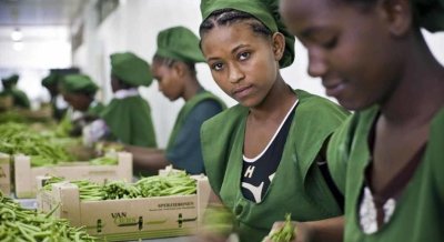 Inter/ Le taux de chômage des jeunes atteint son plus bas niveau depuis 15 ans (OIT)