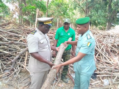 Les populations de Ferkessédougou invitées à protéger les forêts classées