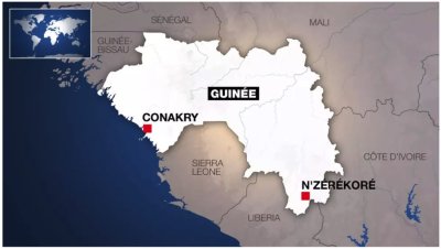 Guinée: de nombreux morts après un match de foot à N'Zérékoré