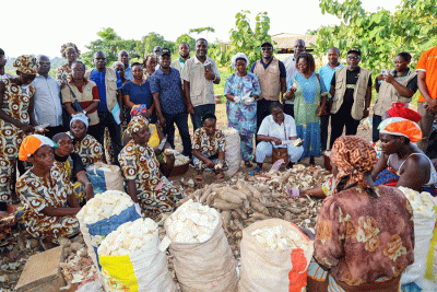 Unité de Transformation de manioc du 