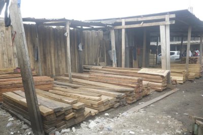 Lutte contre la contrebande : 6 000 madriers saisis par  la Brigade spéciale de surveillance et d’intervention  (BSSI)