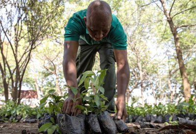 Côte d’Ivoire: 224 millions d’euros de la BAD et du Japon pour renforcer la sécurité alimentaire