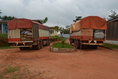 Côte d'Ivoire: saisie de 100 tonnes de cacao à la frontière avec la Guinée