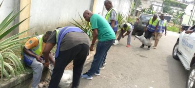 Lutte contre le désordre urbain : plusieurs chèvres en divagation capturées dans les rues de Cocody