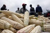 Côte d’Ivoire-Culture / Lucarne sur le 