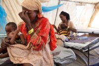 ONU: plus de 170 pays s’engagent à adopter des politiques pour mieux combattre la malnutrition