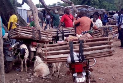 A la découverte du marché de Niamoué, véritable pôle économique de la région du Bounkani