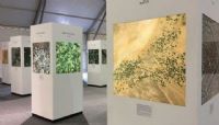 L’exposition Mind the Earth : constater les conséquences du réchauffement climatique par satellite