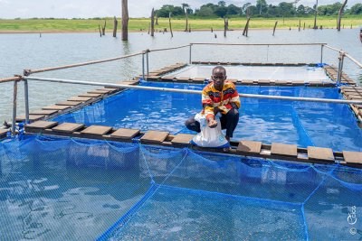 Mise en œuvre du PA-Psgouv : la mission d'évaluation satisfaite des résultats obtenus à Buyo