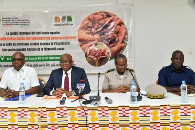 Mise en place de l’interprofession de la filière café-cacao : les producteurs individuels choisissent leurs représentants 