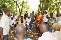 Campagne intermédiaire : Le prix du kilo de cacao chute