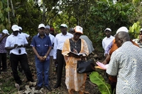 La direction générale du conseil du café-cacao évalue le firca sur le terrain