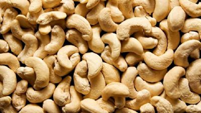 Une opération de vente groupée de noix de cajou initiée par le conseil coton anacarde à Ferkessedougou.