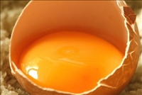 Santé - Le jaune d’œuf aussi dangereux que le tabac