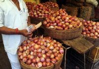 Le kg de l’oignon violet de Galmi passe de 200 à 800 F CFA dans le Centre-Nord ivoirien