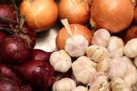 Filière oignon : Les acteurs créent un outil de lutte