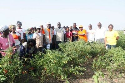 PA-PsGouv: deux associations féminines de Ferkessédougou bénéficiaires d'une unité semi-industrielle de transformation de manioc et d'un maraîcher de 4 ha