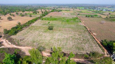  PA-PSGouv : le projet améliore les conditions de vie et de travail des agriculteurs