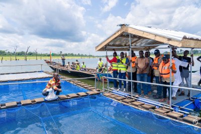 PA-PSGouv : plus de 16 000 jeunes en stage et des milliers de producteurs soutenus