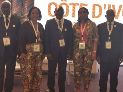 Docteur Adama Coulibaly, DG, depuis Dubaï : 