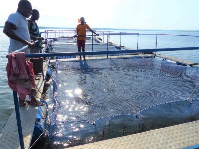 Pêche, aquaculture et élevage en Côte d'Ivoire : le ministre Sidi Tiémoko Touré invite les jeunes à s'intéresser à ce secteur plein d'avenir