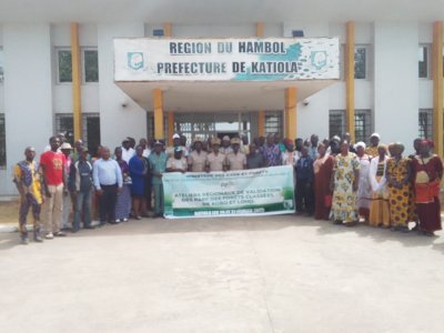 PIF2: Le plan d’aménagement participatif de la forêt classée de Kobo validé