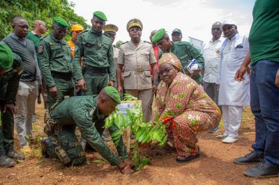 Planting d’arbres à Kabako : Le Conseil du Coton et de l’Anacarde renforce son ancrage environnemental !
