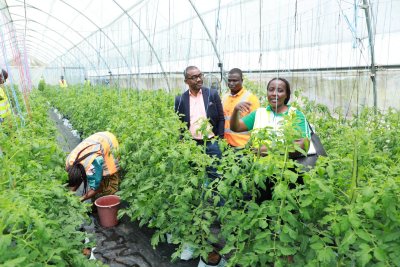 Politique de l'emploi : Le gouvernement ivoirien multiplie les initiatives pour l'insertion professionnelle des jeunes