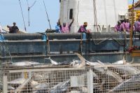 Fermeture saisonnière de la pêche : Sidi Touré appelle les acteurs au respect de la mesure