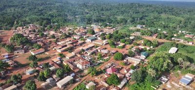 Préservation du patrimoine forestier : le gouvernement participe à la protection des forêts classées