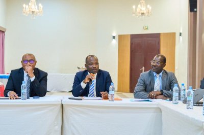 Programme d'appui au secteur vivrier/UE-Côte d'Ivoire : la première phase donne des résultats encourageants au niveau des maraîchers, du manioc et du plantain