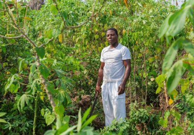 Projet de Développement des Chaînes de Valeur Vivrières : le gouvernement accompagne les producteurs agricoles